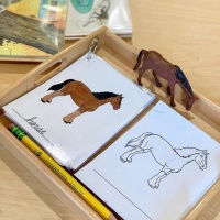 dibujo caballo montessori